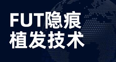 草莓视频黄色版下载安装脂溢性脱发缓解办法有吗