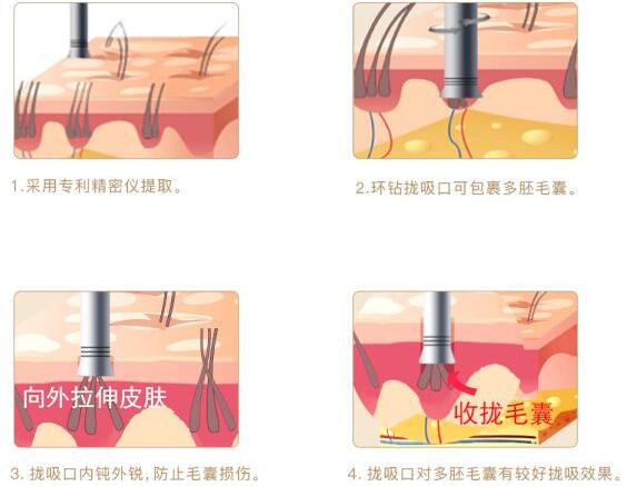 新生草莓视频官方网站